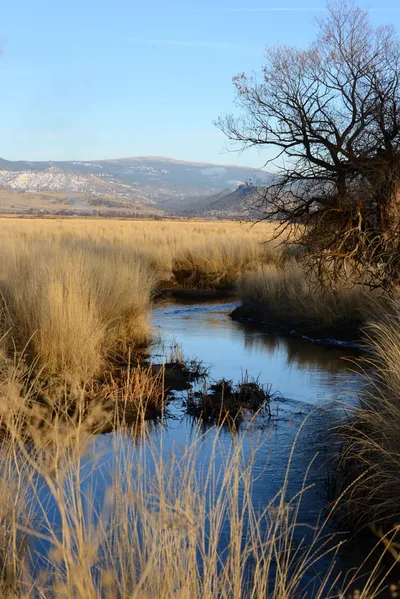 DSC_3070 (Large).JPG